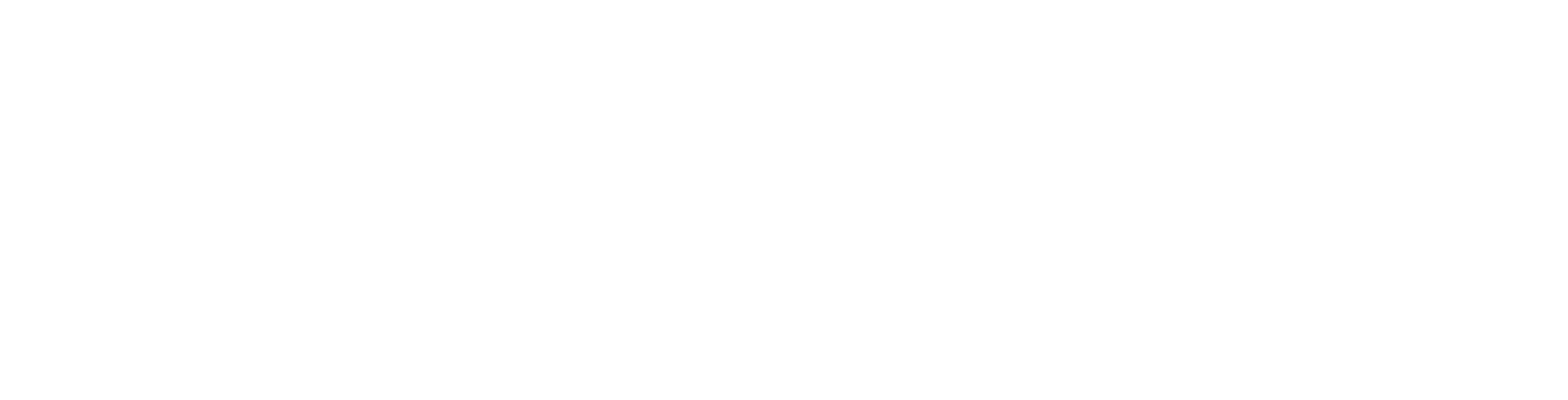 Instituut voor Inclusief Onderwijs